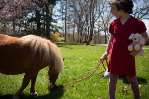 Child with miniature horse